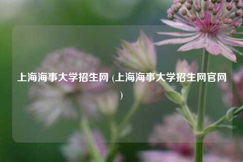 上海海事大学招生网 (上海海事大学招生网官网)