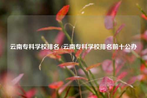 云南专科学校排名 (云南专科学校排名前十公办)