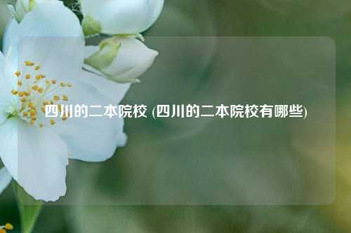 四川的二本院校 (四川的二本院校有哪些)