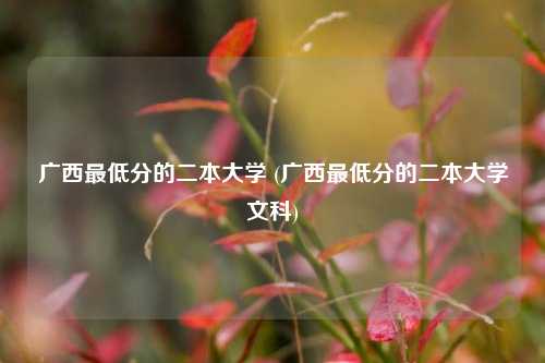 广西最低分的二本大学 (广西最低分的二本大学文科)