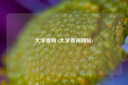 大学查询 (大学查询网站)