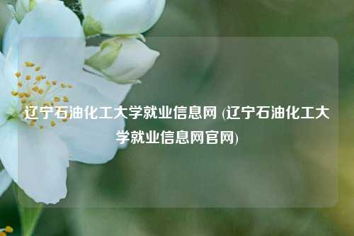 辽宁石油化工大学就业信息网 (辽宁石油化工大学就业信息网官网)