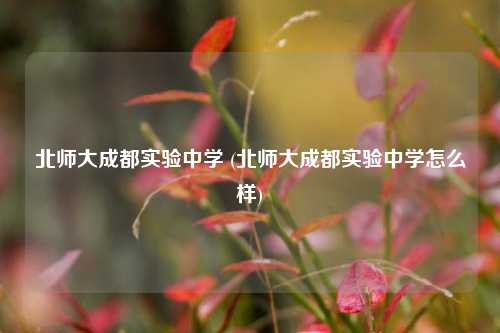 北师大成都实验中学 (北师大成都实验中学怎么样)