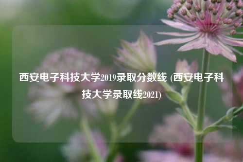 西安电子科技大学2019录取分数线 (西安电子科技大学录取线2021)