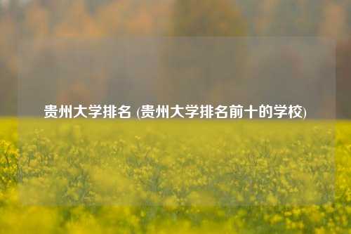 贵州大学排名 (贵州大学排名前十的学校)