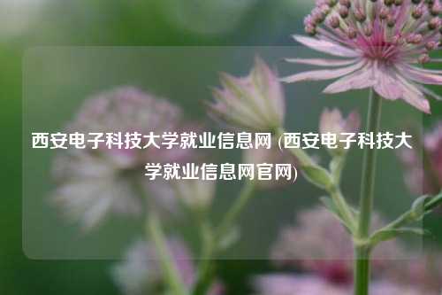 西安电子科技大学就业信息网 (西安电子科技大学就业信息网官网)