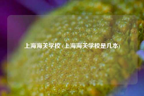 上海海关学校 (上海海关学校是几本)