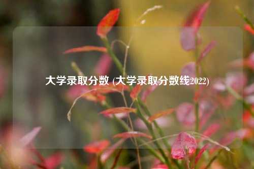 大学录取分数 (大学录取分数线2022)