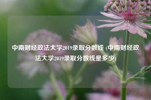 中南财经政法大学2019录取分数线 (中南财经政法大学2019录取分数线是多少)