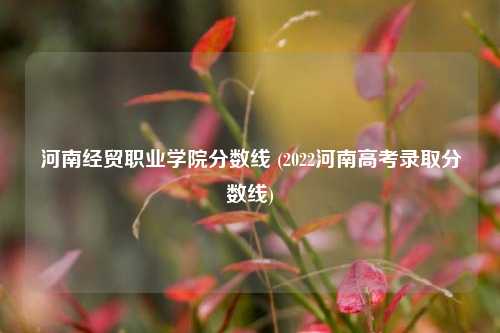河南经贸职业学院分数线 (2022河南高考录取分数线)