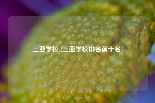 三亚学校 (三亚学校排名前十名)