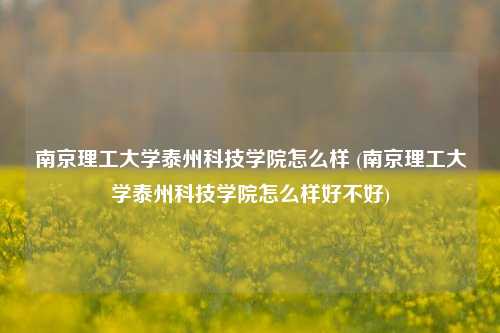 南京理工大学泰州科技学院怎么样 (南京理工大学泰州科技学院怎么样好不好)