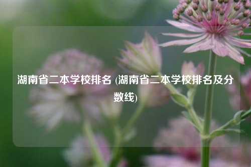 湖南省二本学校排名 (湖南省二本学校排名及分数线)