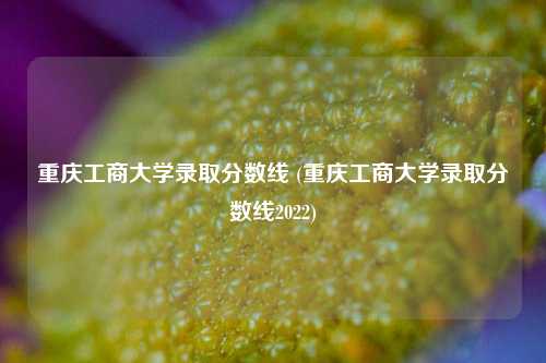 重庆工商大学录取分数线 (重庆工商大学录取分数线2022)