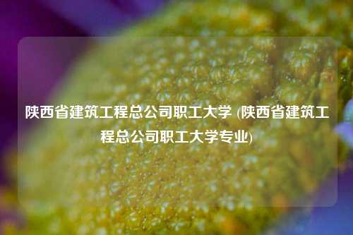 陕西省建筑工程总公司职工大学 (陕西省建筑工程总公司职工大学专业)