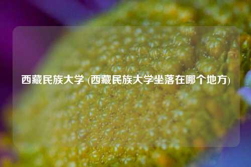 西藏民族大学 (西藏民族大学坐落在哪个地方)