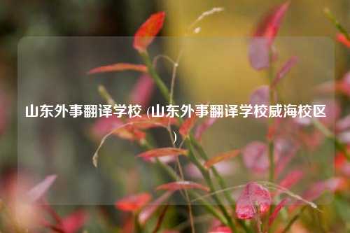 山东外事翻译学校 (山东外事翻译学校威海校区)