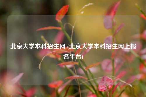 北京大学本科招生网 (北京大学本科招生网上报名平台)