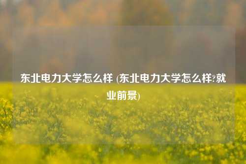 东北电力大学怎么样 (东北电力大学怎么样?就业前景)