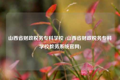 山西省财政税务专科学校 (山西省财政税务专科学校教务系统官网)