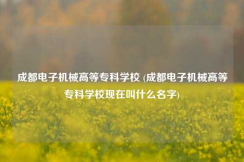 成都电子机械高等专科学校 (成都电子机械高等专科学校现在叫什么名字)