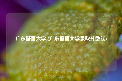 广东警官大学 (广东警官大学录取分数线)