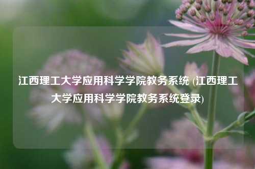 江西理工大学应用科学学院教务系统 (江西理工大学应用科学学院教务系统登录)