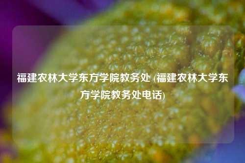 福建农林大学东方学院教务处 (福建农林大学东方学院教务处电话)