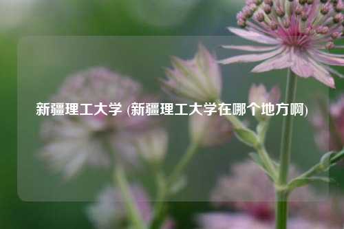 新疆理工大学 (新疆理工大学在哪个地方啊)
