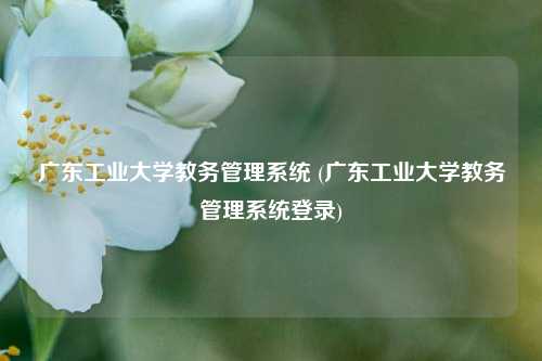 广东工业大学教务管理系统 (广东工业大学教务管理系统登录)