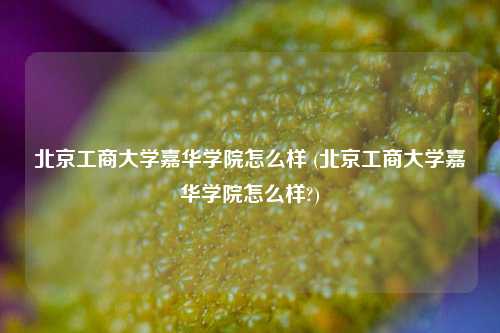 北京工商大学嘉华学院怎么样 (北京工商大学嘉华学院怎么样?)