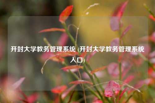 开封大学教务管理系统 (开封大学教务管理系统入口)