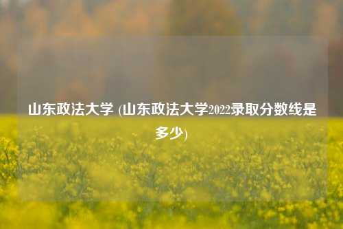 山东政法大学 (山东政法大学2022录取分数线是多少)