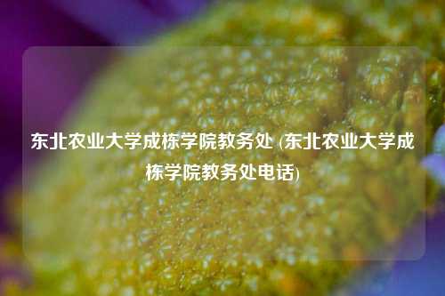 东北农业大学成栋学院教务处 (东北农业大学成栋学院教务处电话)