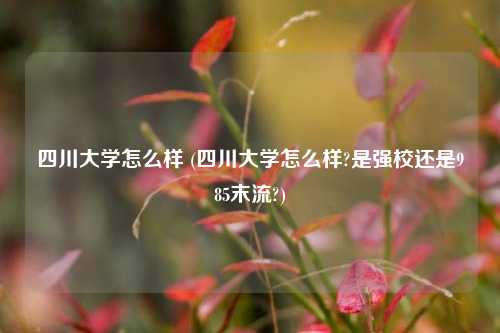 四川大学怎么样 (四川大学怎么样?是强校还是985末流?)