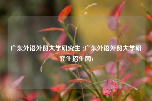 广东外语外贸大学研究生 (广东外语外贸大学研究生招生网)