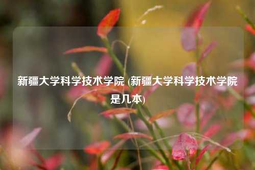 新疆大学科学技术学院 (新疆大学科学技术学院是几本)
