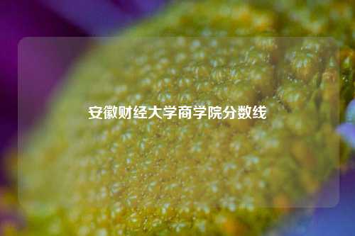 安徽财经大学商学院分数线