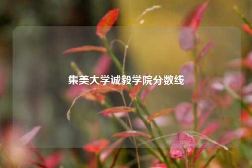 集美大学诚毅学院分数线