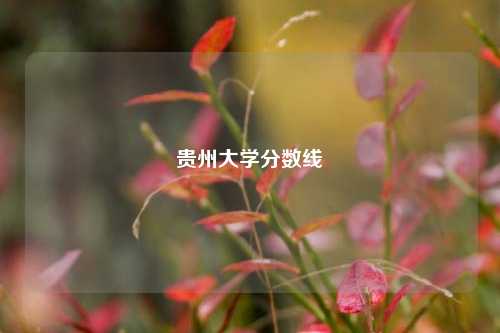 贵州大学分数线