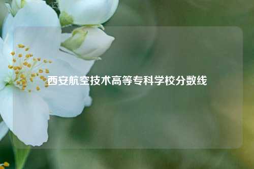 西安航空技术高等专科学校分数线