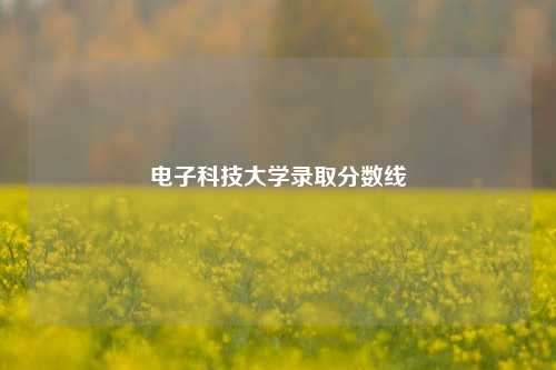 电子科技大学录取分数线