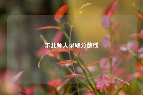 东北师大录取分数线