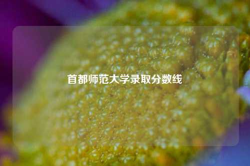 首都师范大学录取分数线