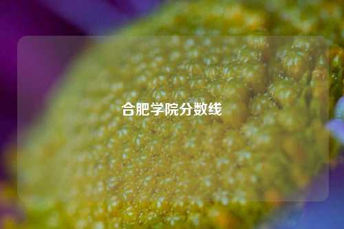 合肥学院分数线