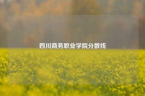 四川商务职业学院分数线