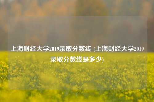 上海财经大学2019录取分数线 (上海财经大学2019录取分数线是多少)