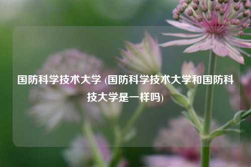 国防科学技术大学 (国防科学技术大学和国防科技大学是一样吗)