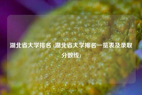 湖北省大学排名 (湖北省大学排名一览表及录取分数线)