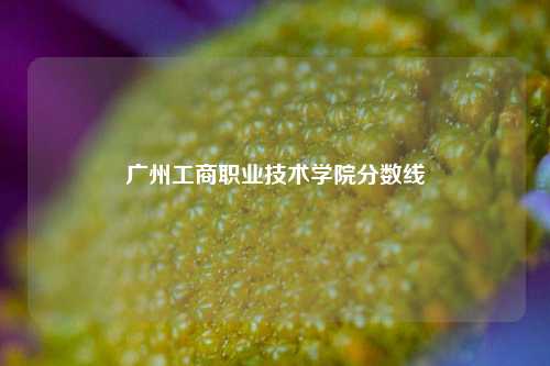 广州工商职业技术学院分数线